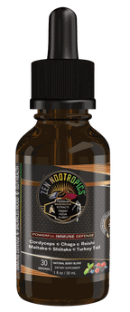 Chaga mushroom extract with functional mushroom blend