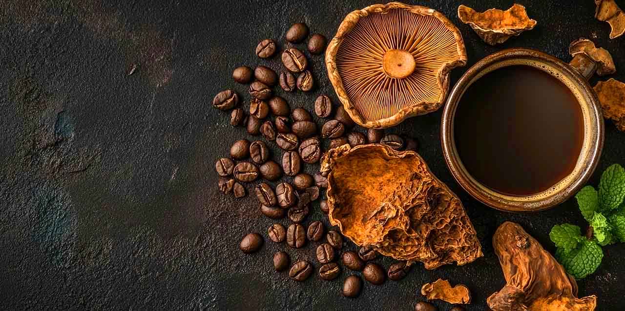 a bag of mushroom coffee with assorted mushrooms