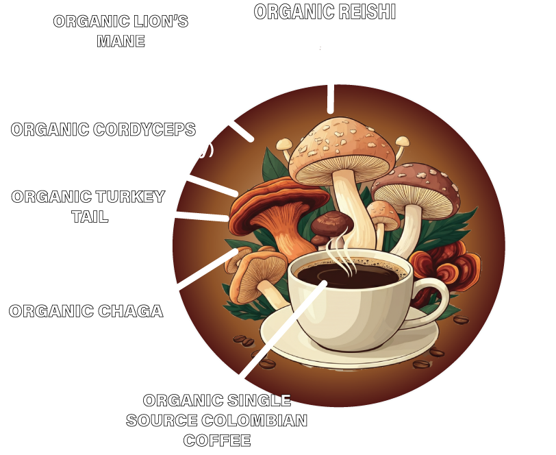 mushroom coffee functional health benefits