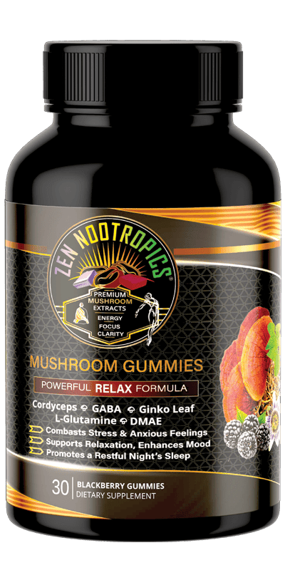 Reishi Mushroom Gummies for Relaxation - Zen Nootropics Main image