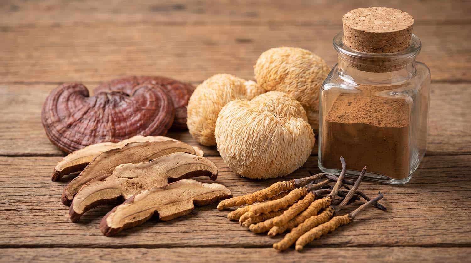 mushroom coffee side effects and ingredients
